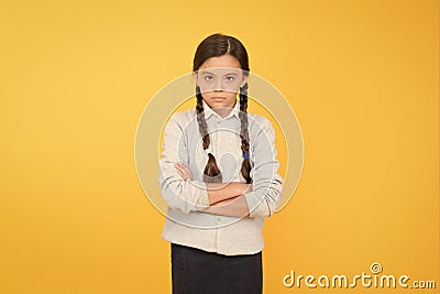 Schoolgirl calm serious pupil long hair. Beginning of academic year. Educational activity. Homeschooling or visiting Stock Photo