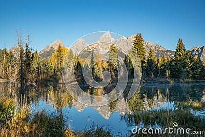 Schwabacher Landing Reflection Stock Photo