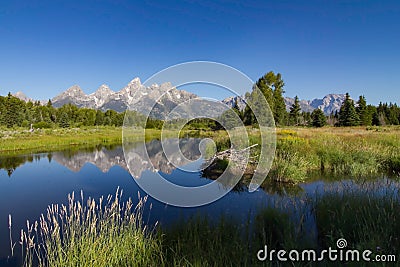 Schwabacher Landing Stock Photo