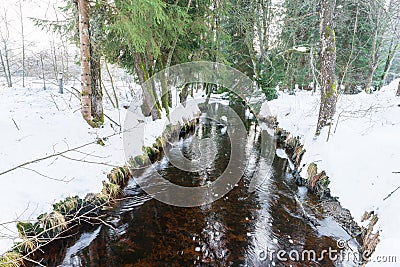 The Schwarzach Creek in Spiegelau in the bavarian forest, Germany Stock Photo