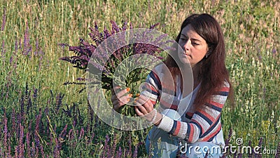 Schönheits-Riss-Feld-Blumen morgens in Forest Sitting auf der Lichtung, sammelt einen Kornblume-Blumenstrauß stock video Schönheits-Riss-Feld-Blumen morgens in Forest Sitting auf der Lichtung, sammelt einen Kornblume-Blumenstrauß stock video