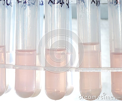 Science biology medical test tube Stock Photo