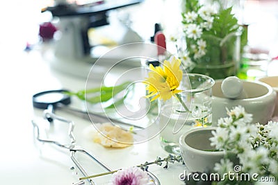 Science lab research with microscope for Natural aromatic and essential oil from fresh flower of for new product skin care in labo Stock Photo