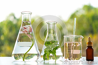 Science lab research for Natural aromatic and essential oil from fresh flower of for new product skin care. Stock Photo