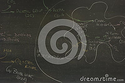 Science lesson written on a blackboard Stock Photo
