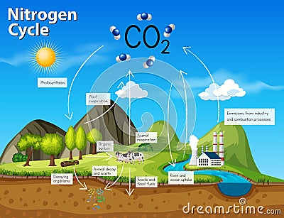 Science nitrogen cycle CO2 Vector Illustration