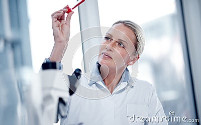 Science pushes the boundaries of what we know. a mature scientist working in her lab. Stock Photo