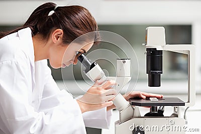 A science student looking in a microscope Stock Photo