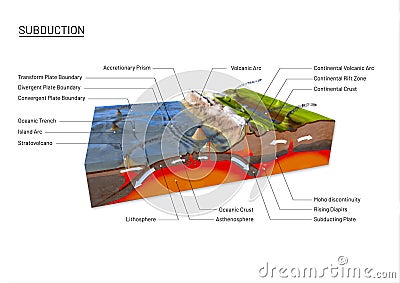 Scientific ground cross-section to explain subduction and plate tectonics Cartoon Illustration