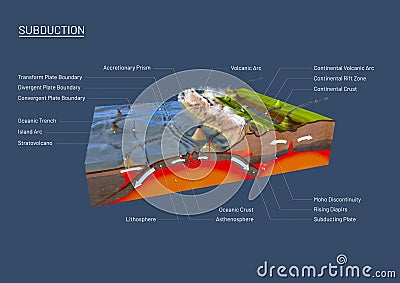 Scientific ground cross-section to explain subduction and plate tectonics Cartoon Illustration