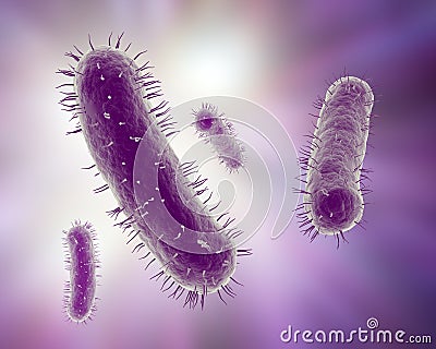 Scientific illustration of bacteria Cartoon Illustration