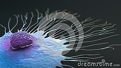 Scientific illustration of a migrating breast cancer cell Cartoon Illustration