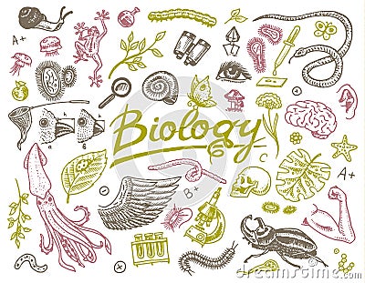 Scientific laboratory in Biology. Icon Set of Biochemistry Research. Living creatures organisms molecules. Medicine in Vector Illustration