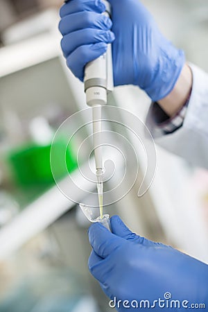 Scientific laboratory technician pipetting. Macro shot Stock Photo