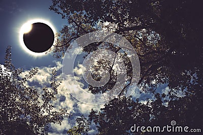 Scientific natural phenomenon. Total solar eclipse with diamond Stock Photo