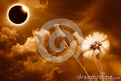 Scientific natural phenomenon. Total solar eclipse with diamond Stock Photo