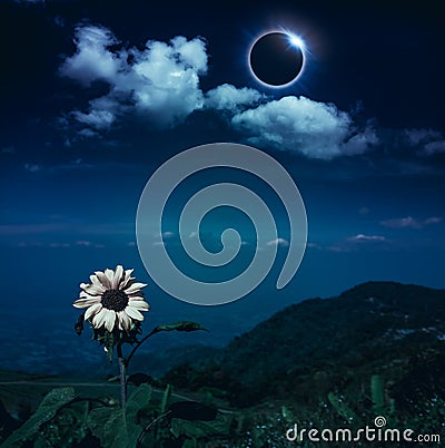 Scientific natural phenomenon. Total solar eclipse with diamond Stock Photo