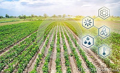 Scientific work and development of agriculture. High technologies and innovations in agro-industry. Agricultural startup. Stock Photo