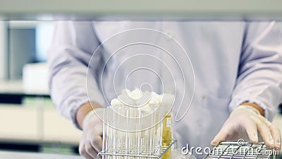 Scientist analysis E.Coli in food use Most Probable number MPN technique for testing the Coliform bacteria cultured with Tryptos Stock Photo