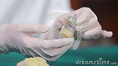 Scientist or archaeologist holding stones or minerals in hands. People with samples of archeology in the hands of Stock Photo