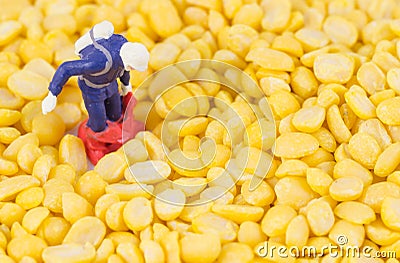 Scientist checking chemical in bean seed Stock Photo