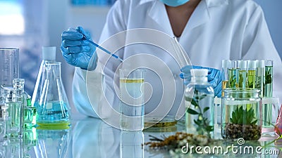 Scientist conducing chemical experiment, checking reaction, perfumery industry Stock Photo