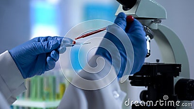 Scientist dripping blood sample for genetics examination, microbiology test Stock Photo