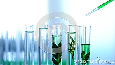 Scientist dripping green liquid in lab tubes, herbal anti-age cosmetics testing Stock Photo