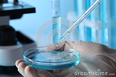 Scientist dripping liquid from pipette into petri dish in laboratory, closeup Stock Photo