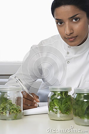 Scientist Examining Plant Material While Recording Observations Stock Photo