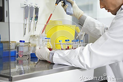 Scientist Filling Test Tube With Hitech Pipette Stock Photo