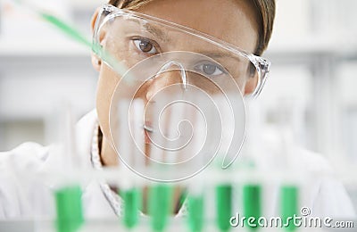 Scientist Filling Test Tubes With Pipette Stock Photo