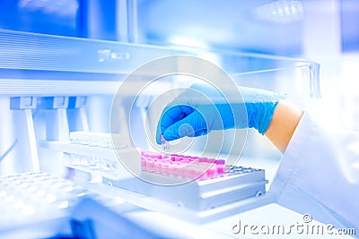 Scientist hand holding sample in special laboratory, medical environment, hospital details Stock Photo