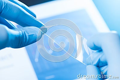 Scientist hold and bend in fingers small piece of transparent material, new type of material with different properties research Stock Photo