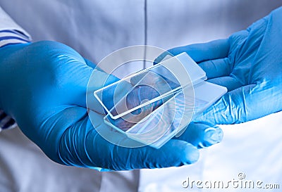 Scientist holding frosted glass microscope slides Stock Photo