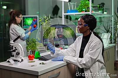 Scientist looking at green sapling for medical experiment Stock Photo