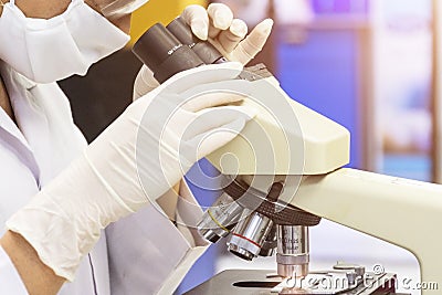 Scientist looking through a microscope in a laboratory. she is d Stock Photo