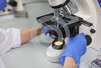 Scientist looking through a microscope in a laboratory. scientist doing some research. Stock Photo