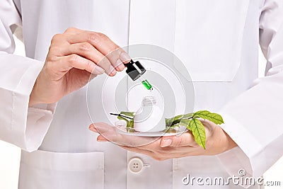 Scientist with natural drug research, Medical discovery. Stock Photo