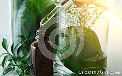 Scientist with natural drug research, Natural organic botany and scientific glassware, Alternative green herb medicine. Stock Photo