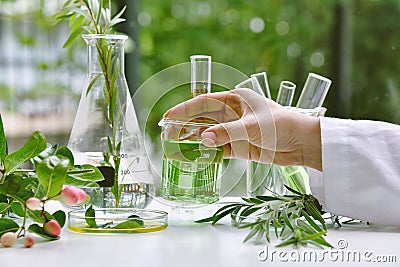 Scientist with natural drug research, Natural organic and scientific extraction in glassware, Alternative green herb medicine. Stock Photo