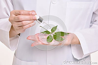 Scientist with natural oil skin care, Green herbal organic. Stock Photo