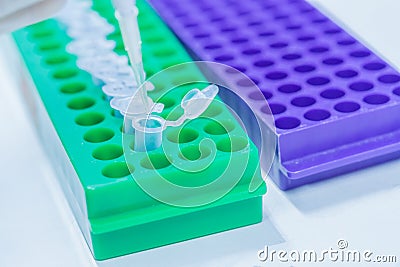 Scientist pipette dropping a sample into test microtiter tube Stock Photo