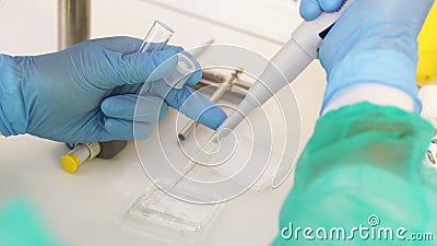 Scientist pipetting sample into a petri dish for analytical testing in a laboratory. close up Stock Photo