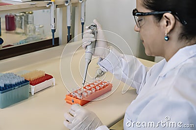 Scientist pipetting samples from eppendorf tubes Stock Photo