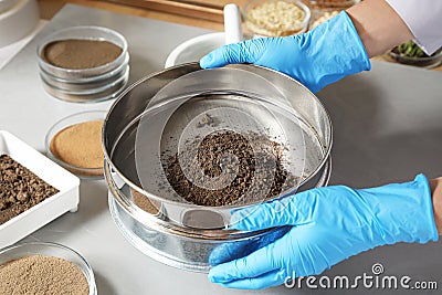Scientist pulverizing and sieving soil samples at table. Laboratory analysis Stock Photo