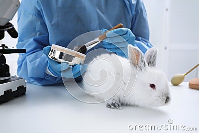 Scientist with rabbit and makeup products in chemical laboratory, closeup. Animal testing Stock Photo