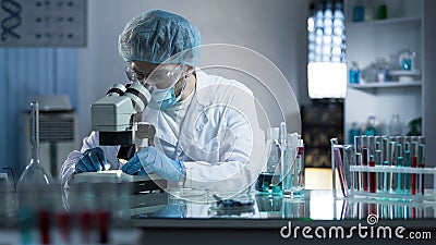 Scientist studying dna branches for additional information in cloning process Stock Photo