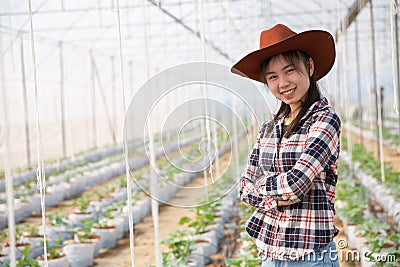 Scientist woman and farmer check melon fruit quality Stock Photo