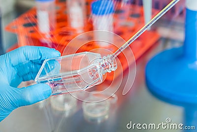 Scientist working with a cell culture flask Stock Photo